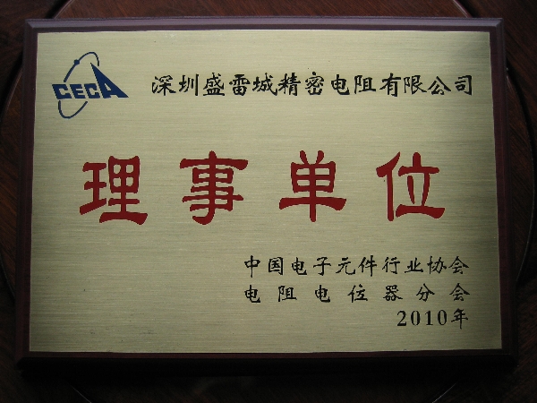 Outstanding Director of CECA in 2010
