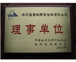Outstanding Director of CECA in 2010